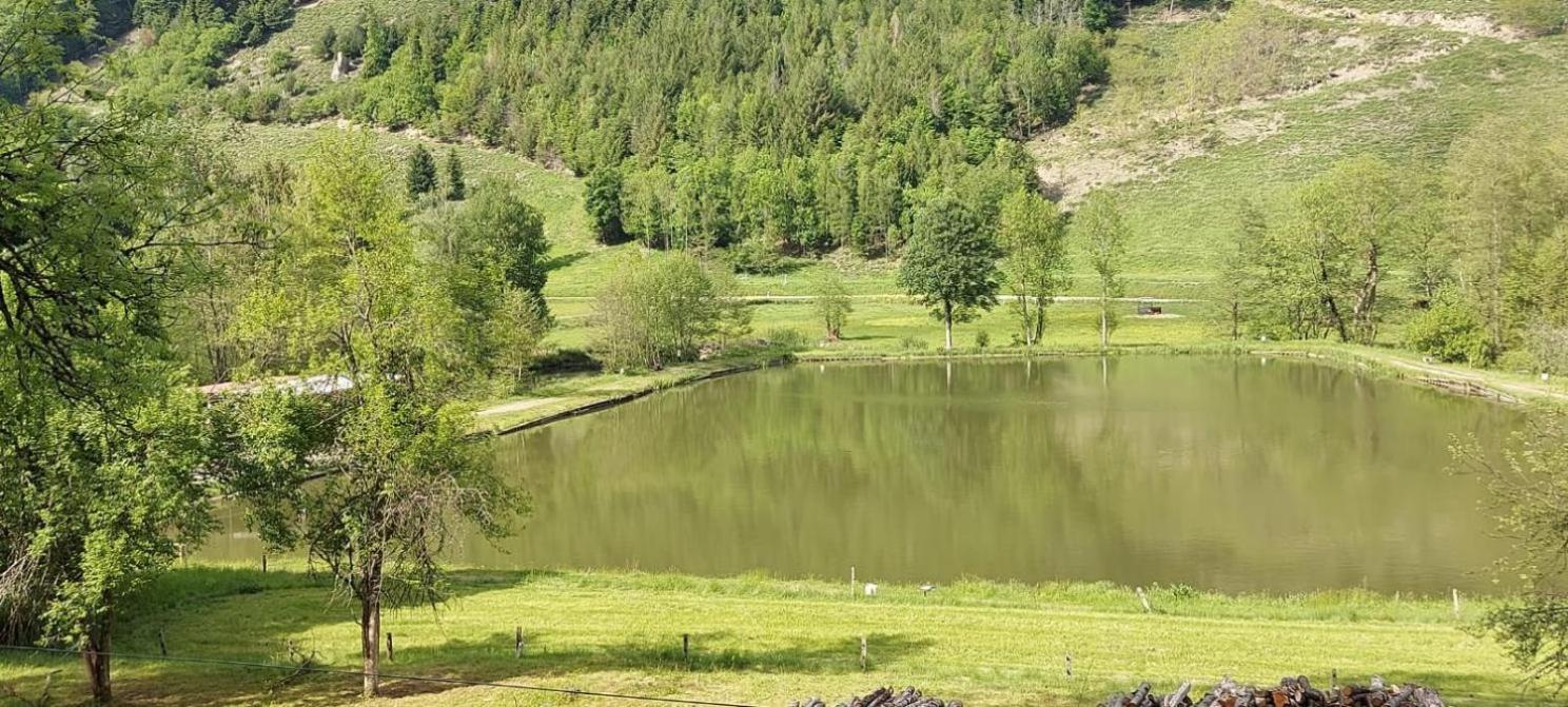 Nos 2 Gites A La Fermy'Air Mollau Esterno foto